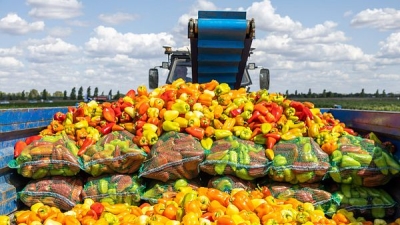 В Волгоградской области грантами поддерживают сельскохозяйственные кооперативы