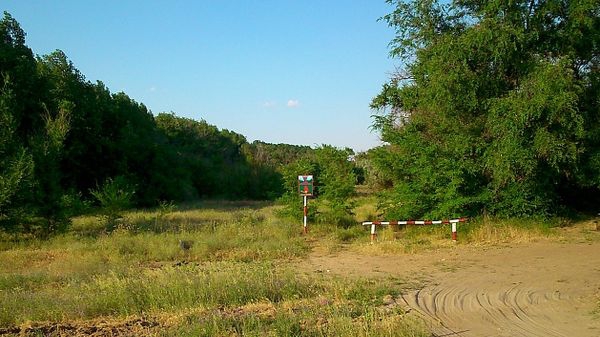 В Волгоградской области продлен запрет на посещение лесов