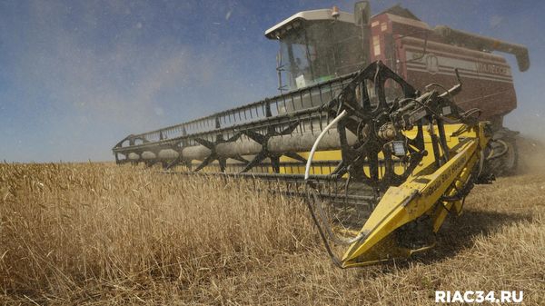 Волгоградские аграрии намолотили 3,2 млн тонна зерна