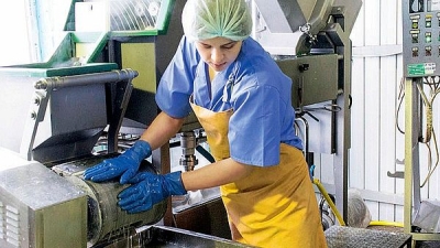 На Михайловском молочном комбинате эксперты оптимизируют процесс производства