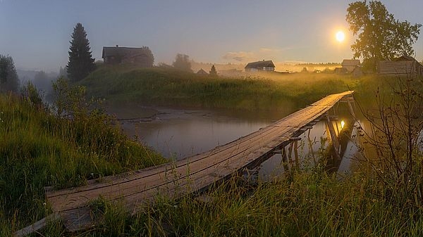 В Волгоградской области в рамках партийного проекта «Российское село» пройдет конкурс «Красота сельской жизни»