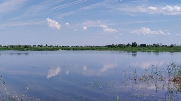 В волгоградском регионе стало еще больше восстановленных по нацпроекту «Экология» ериков и озер