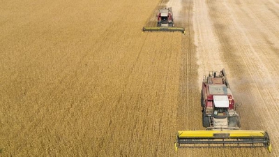 Есть 2 миллиона тонн: аграрии Волгоградской области продолжают уборку зерновых