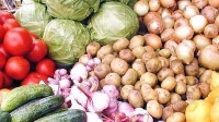 Волгоградские аграрии перешли «экватор» в уборке картофеля