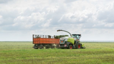 В Волгоградской области животноводы в 3 раза увеличили заготовку кормов