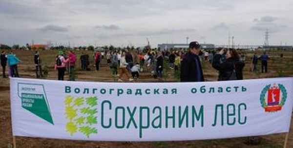 В Волгоградской области дан старт акции «Сохраним лес»-2022