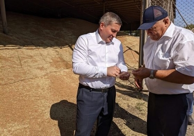 Задача Президента России выполнена: Андрей Бочаров объявил о сборе 5 млн тонн волгоградского зерна