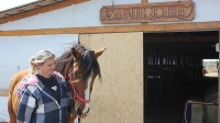 Волгоградка с господдержкой развивает конный реабилитационный центр