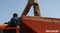 Волгоградские хлеборобы преодолели ещё один серьёзный рубеж: есть 6 млн тонн зерна!