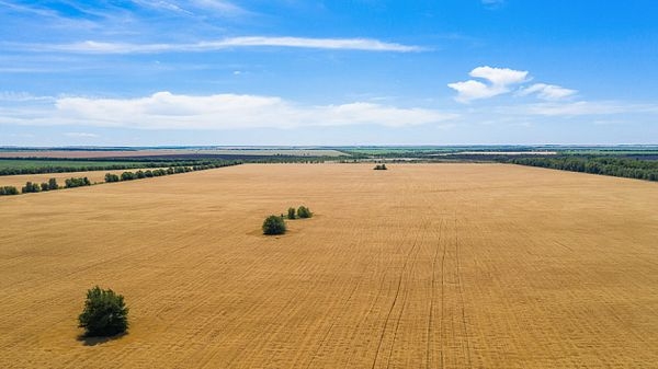 Порядка 870 тысяч га сельхозугодий ввели в оборот в Волгоградской области за 10 лет