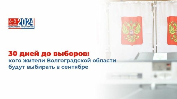 30 дней до выборов: кого жители Волгоградской области будут выбирать в сентябре