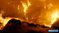 В Волгоградской области ранним утром в пожаре погиб человек